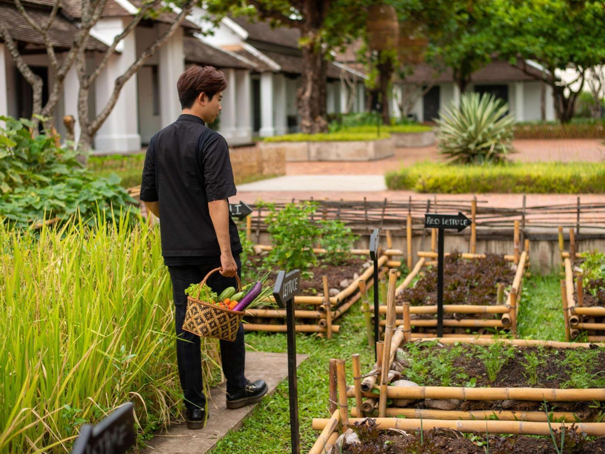 Hotel Sofitel Luang Prabang Zewnętrze zdjęcie