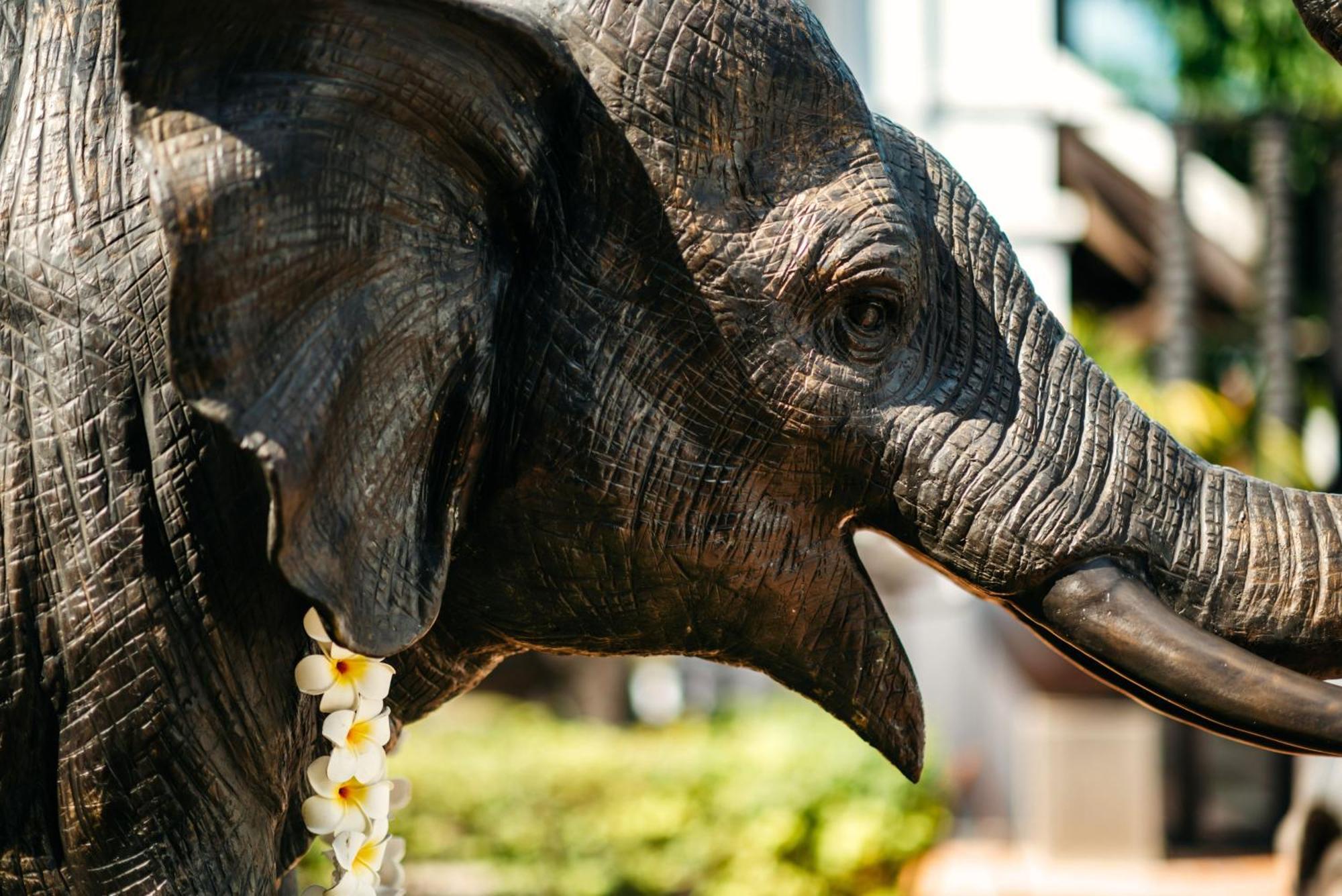 Hotel Sofitel Luang Prabang Zewnętrze zdjęcie